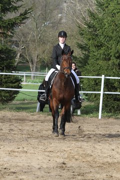 Bild 1533 - WBO-Turnier am 9.4.11